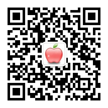 bob频道